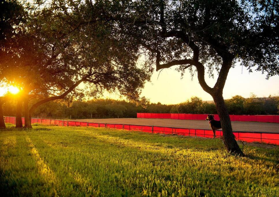 Stargaze At Orion Oldstickranch35Milesnwofaustin Villa Leander Exterior photo